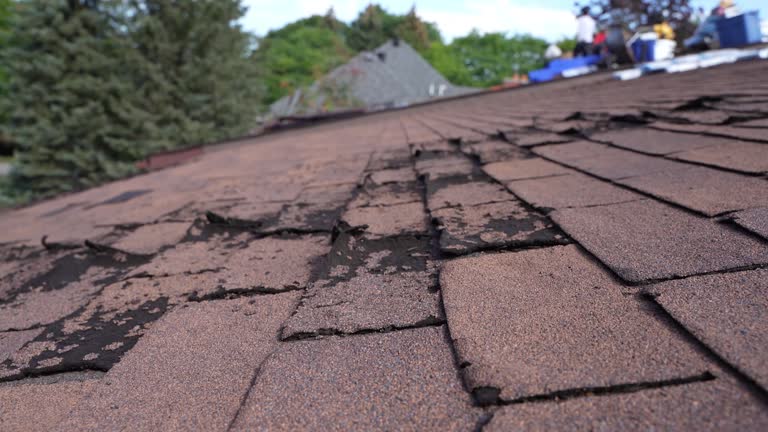Best Roofing for New Construction  in Presque Isle, ME