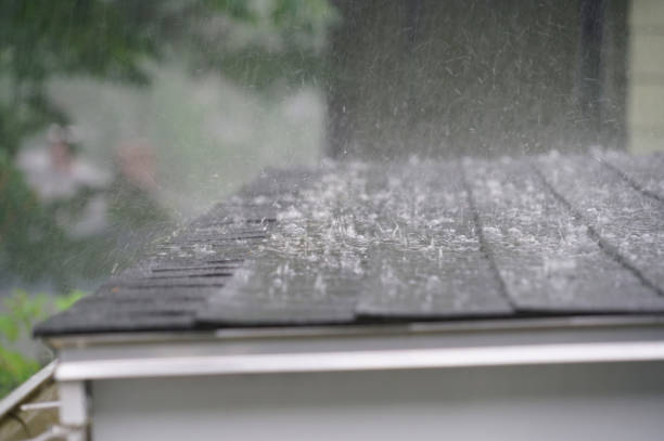 Best Cold Roofs  in Presque Isle, ME